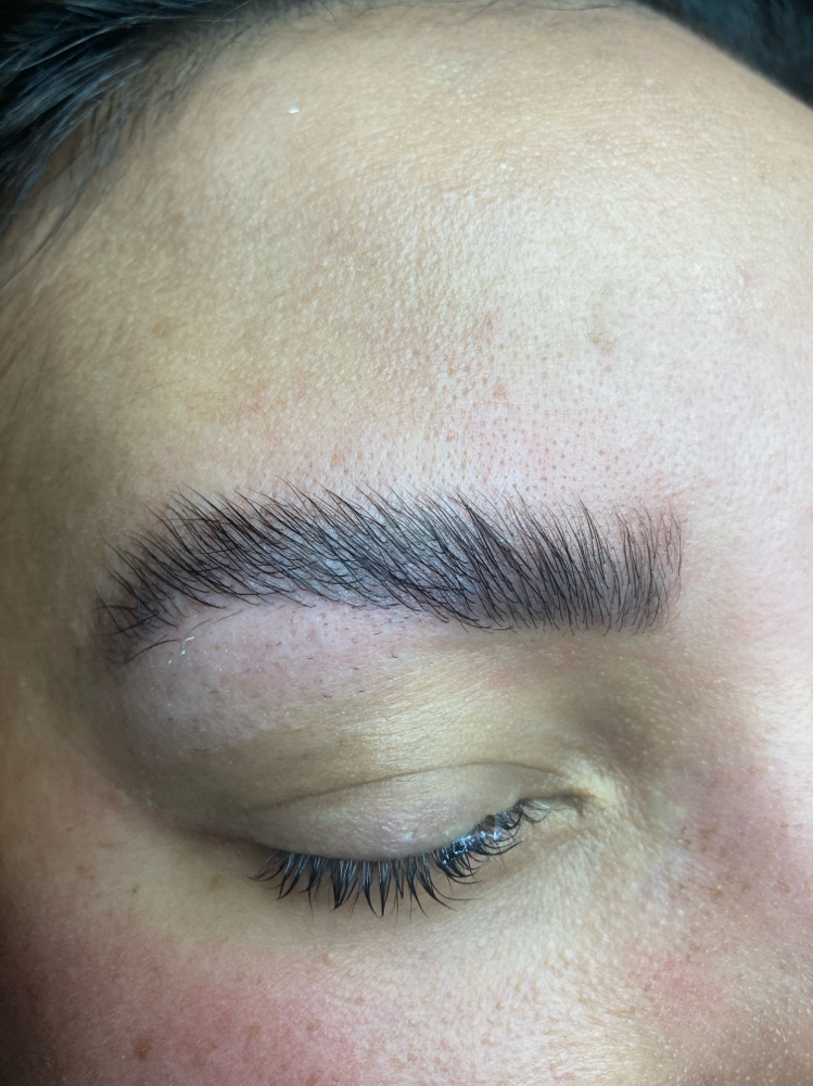 Brow Lamination