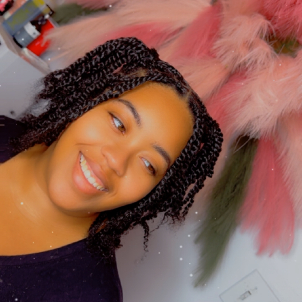 Two Strand Twist (Extensions Added) at Blushing Bloom Beauty Studio in Munster, IN