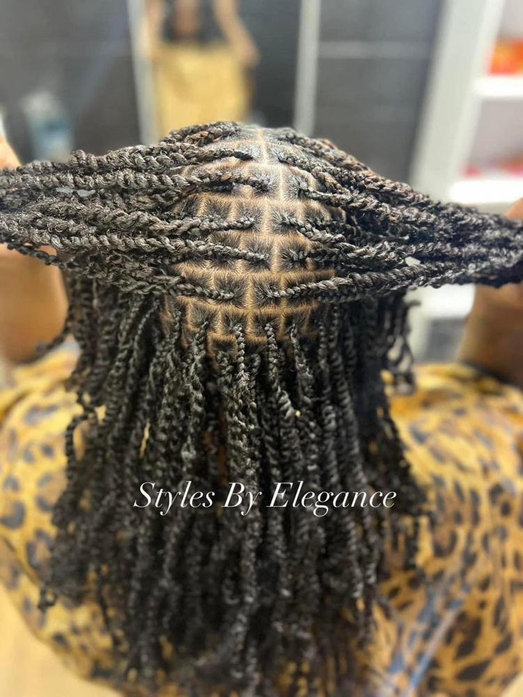 Small Spring Twist
