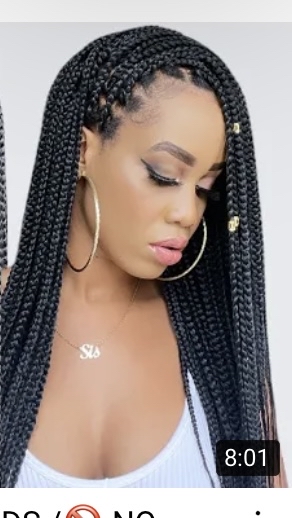 Small Braids (mid Back)