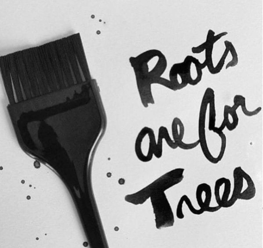 Root Touch-up at Erica Starr Salon in San Antonio, TX