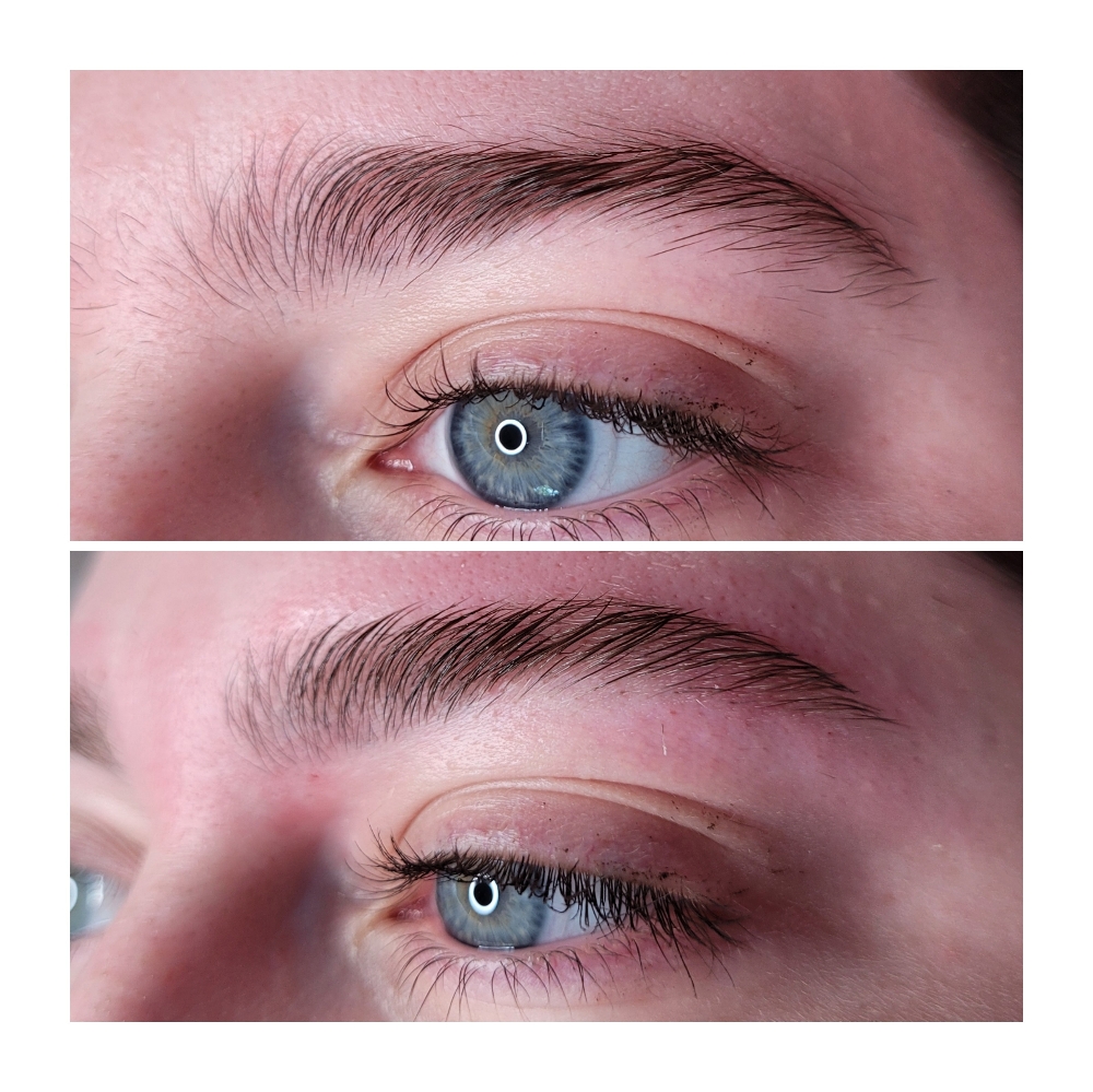 Brow Wax & Shaping