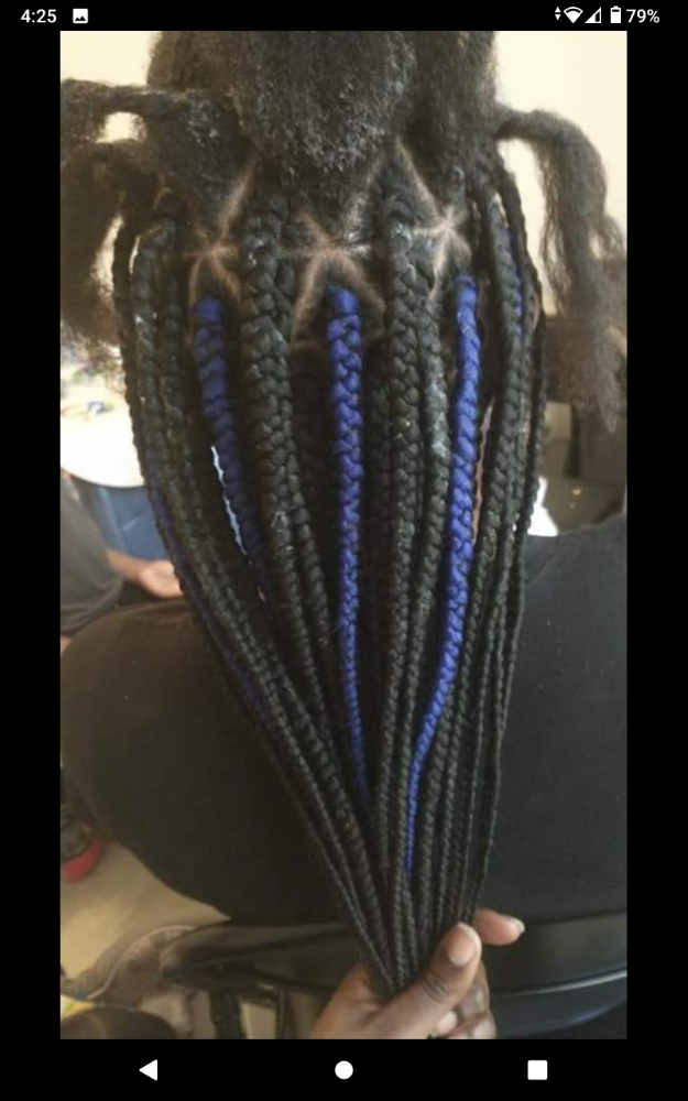Medium Box Braids Midback