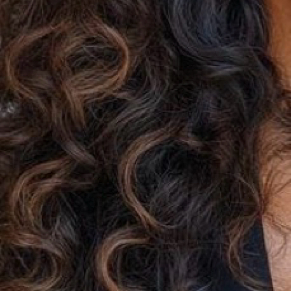 Love Me Lux Refresh Volume Fill + H at Love Me Lashes – Luxury Lashes & Hair in Clermont, FL