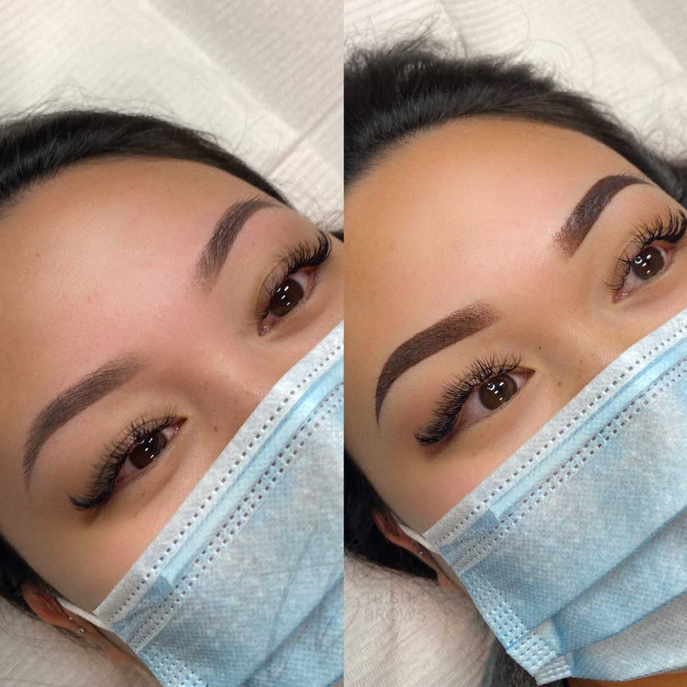 6 - 8 WEEK 1st TOUCH UP