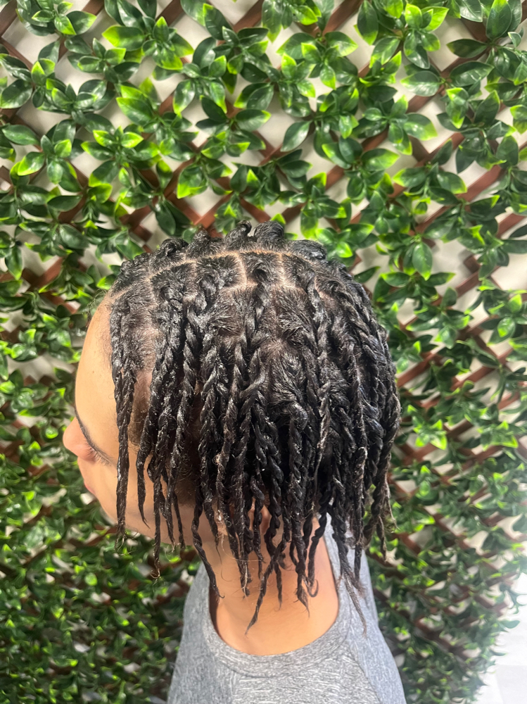 Twists/Dread Loc Maintenance