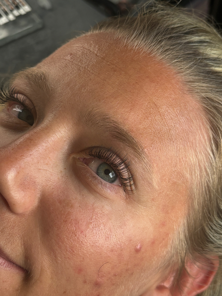 Classic 2-3 Week Fill
