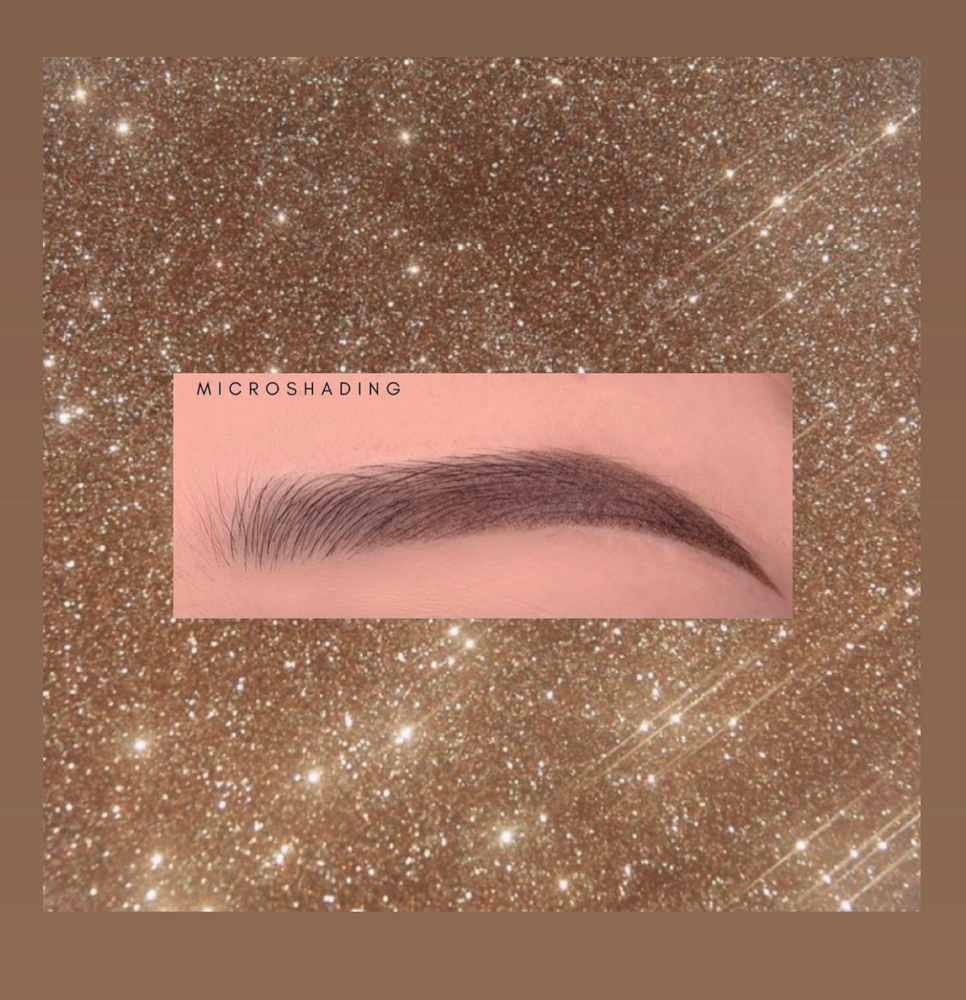 Microshading Brows (combo ) at LE LUXE BEAUTY in Los Angeles, CA