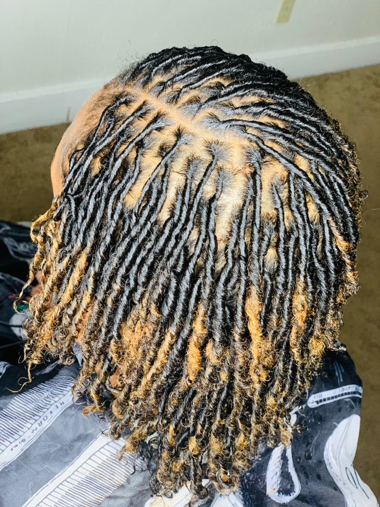 Natural Sister Loc Starters