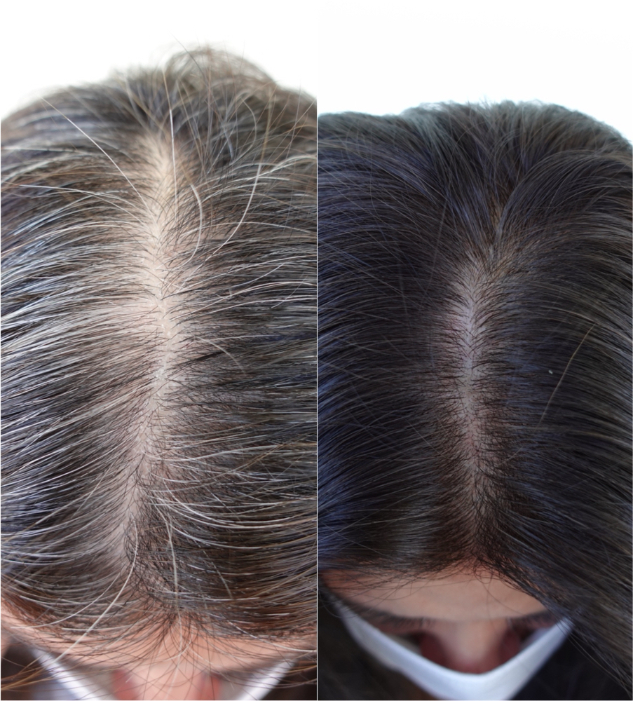 Ammonia Free Gray Cov. + Toner/glaz