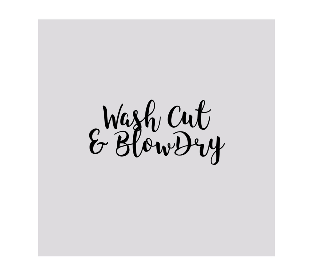 Wash/cut/blow-dry