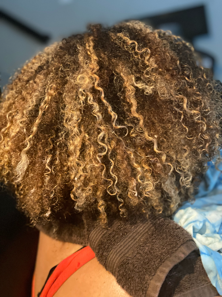 Full Head highlights