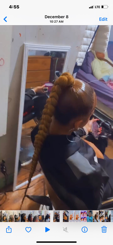 Braid Ponytail