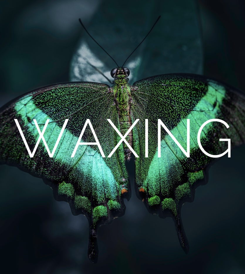 Neck Wax