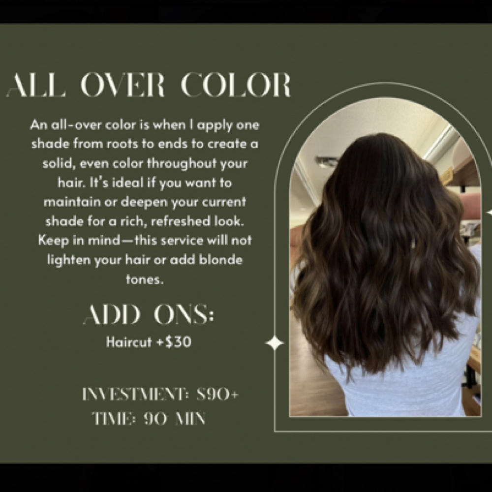 All Over Color at Beauty By Bailey in Cadott, WI