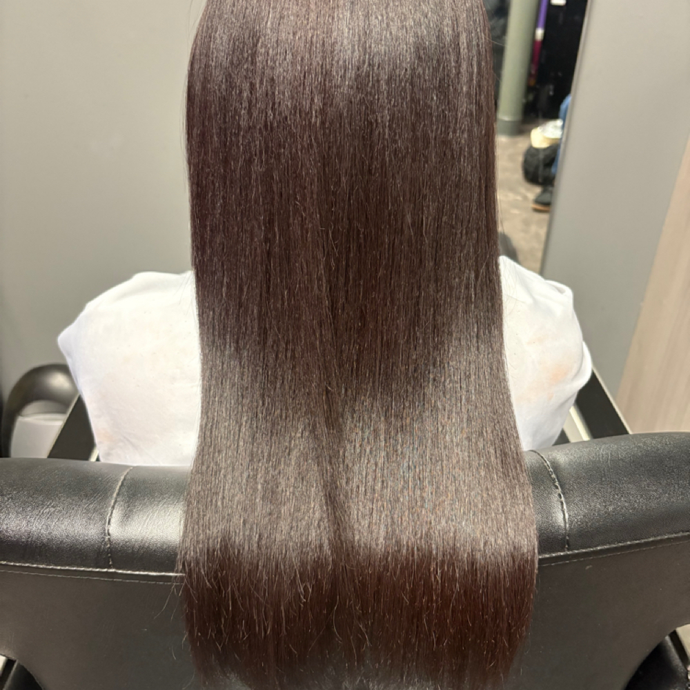 Silk Press, Steam Treatment, & Trim