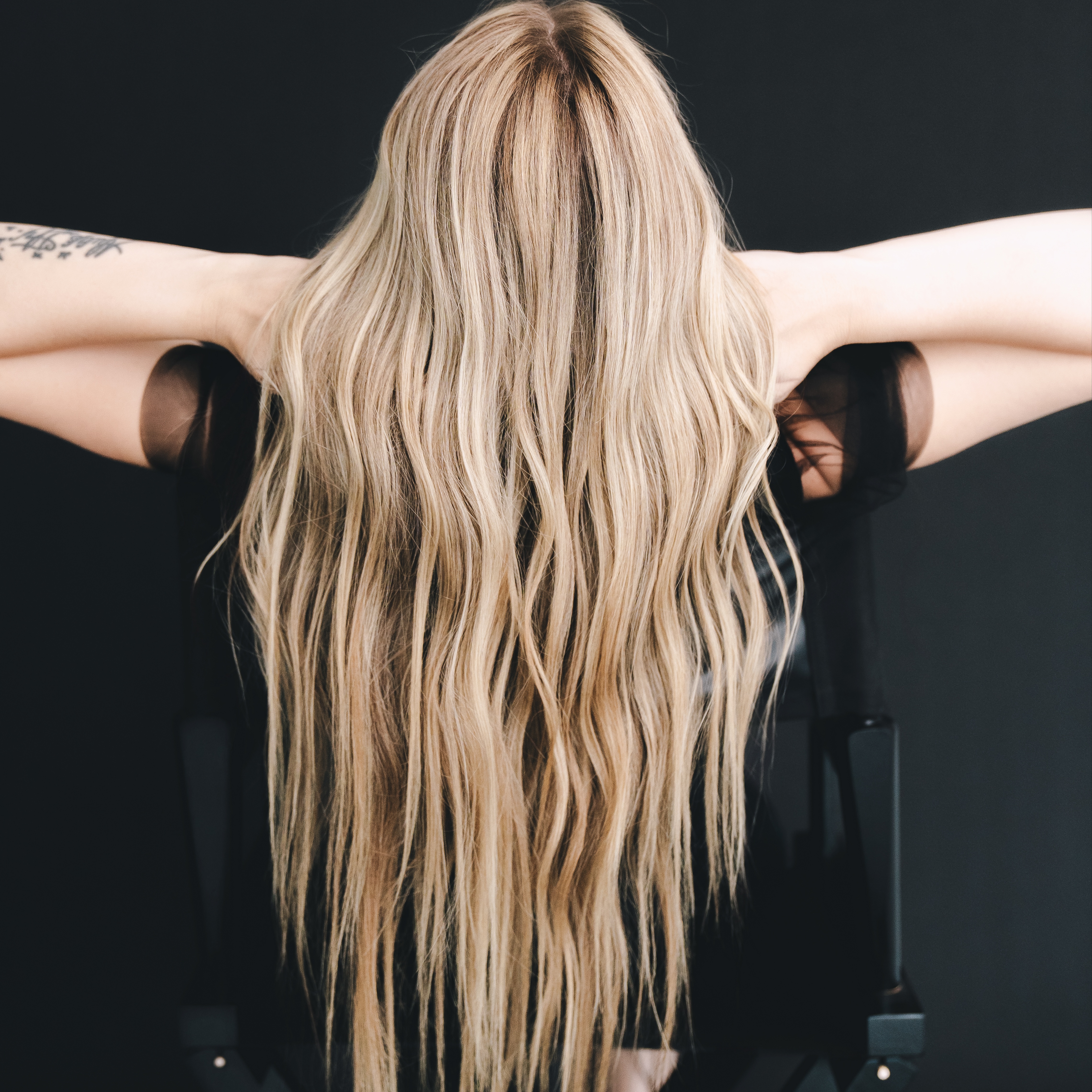 The Art Renewal at The Art Collection in Fort Collins, CO