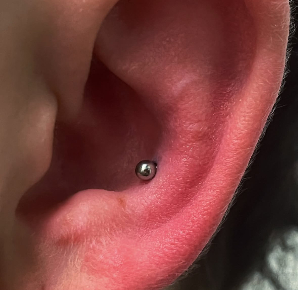 Conch Piercing
