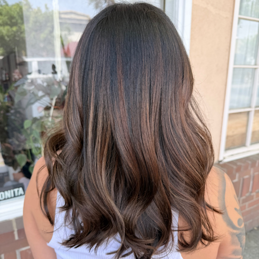 Toner Or Gloss at Bohemian Rose Salon in Woodland, CA