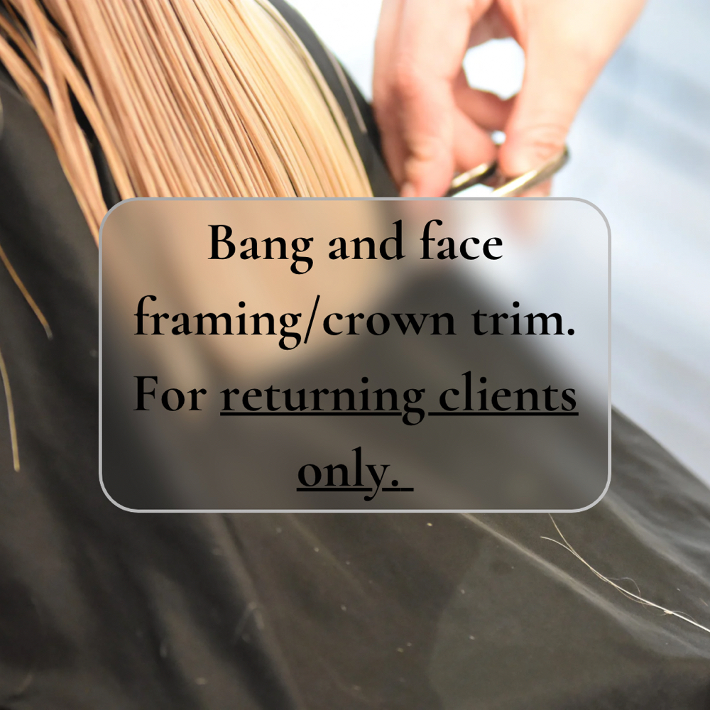 Bangs & Bits at Dreamscape Hair Design in Buffalo, NY