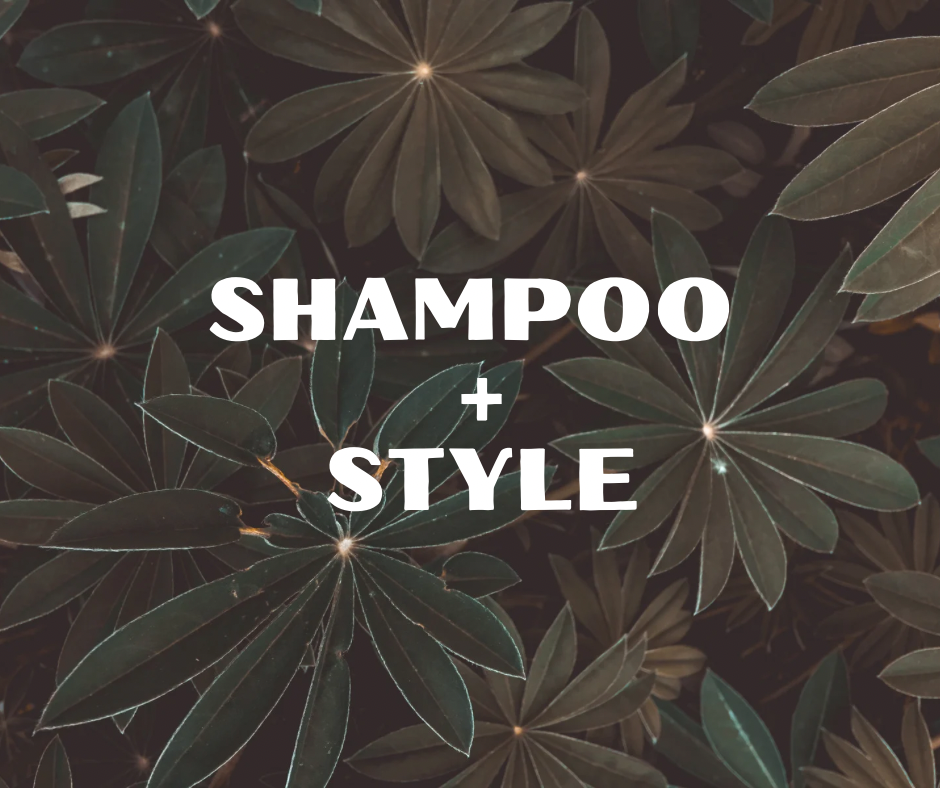 Shampoo + Style