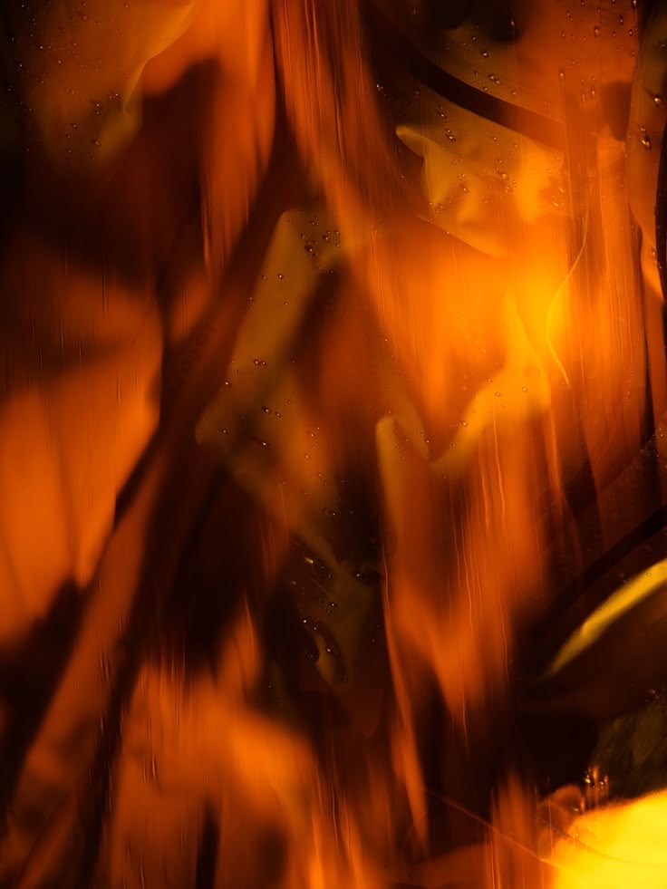 LEGS (HALF) MAINTENCE at SLICKED in Lufkin, TX