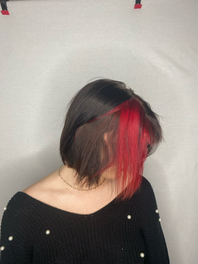 Hair Fashion Color