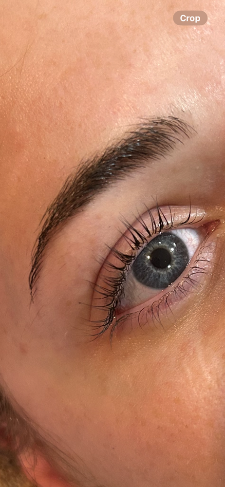 Eyelash Lift And Tint at Skin and Tonic in Whitney Point, NY