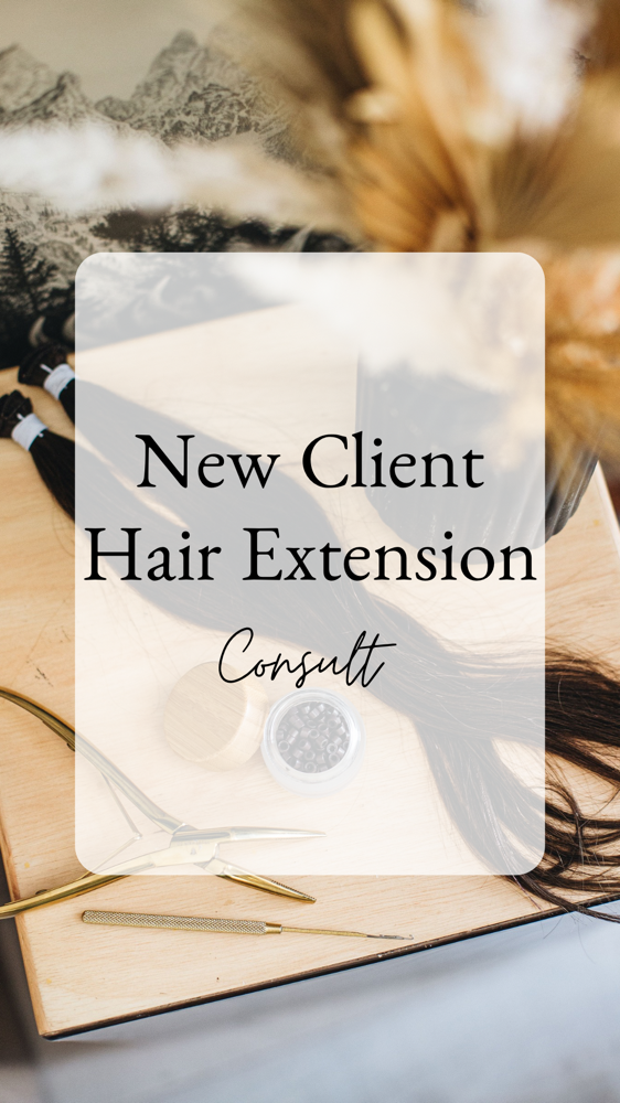 Hair Extension Consultation