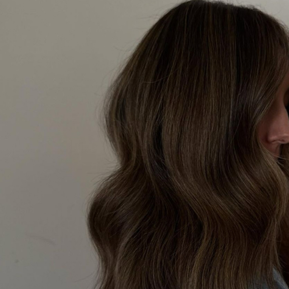 the signature brunette at Maven & Mane Salon in appointment will be held, FL