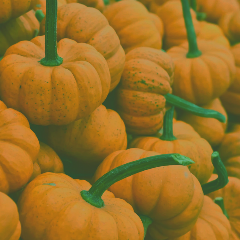 Fall Seasonal- Pumpkin Facial