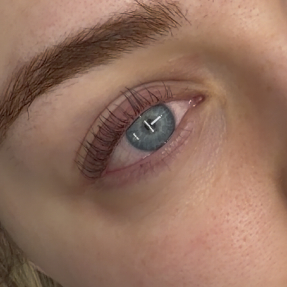 Korean Lash Lift at Euphoria Lash & Brow Studio in Rochester, MN