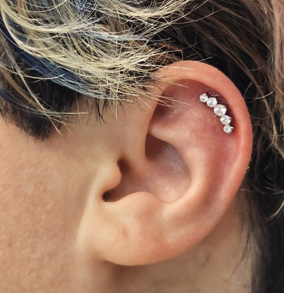 Single Helix/Cartilage
