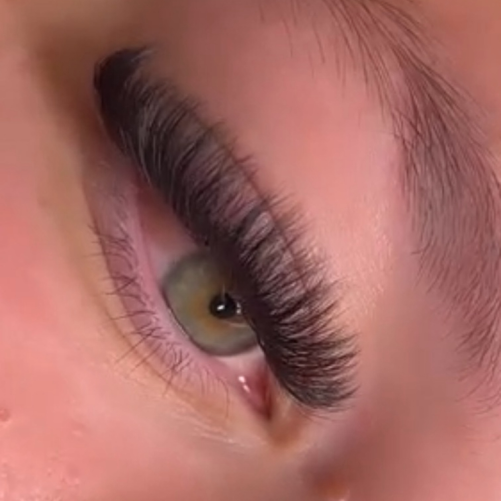 3 Week Volume Fill at Lashed Society in South Jordan, UT