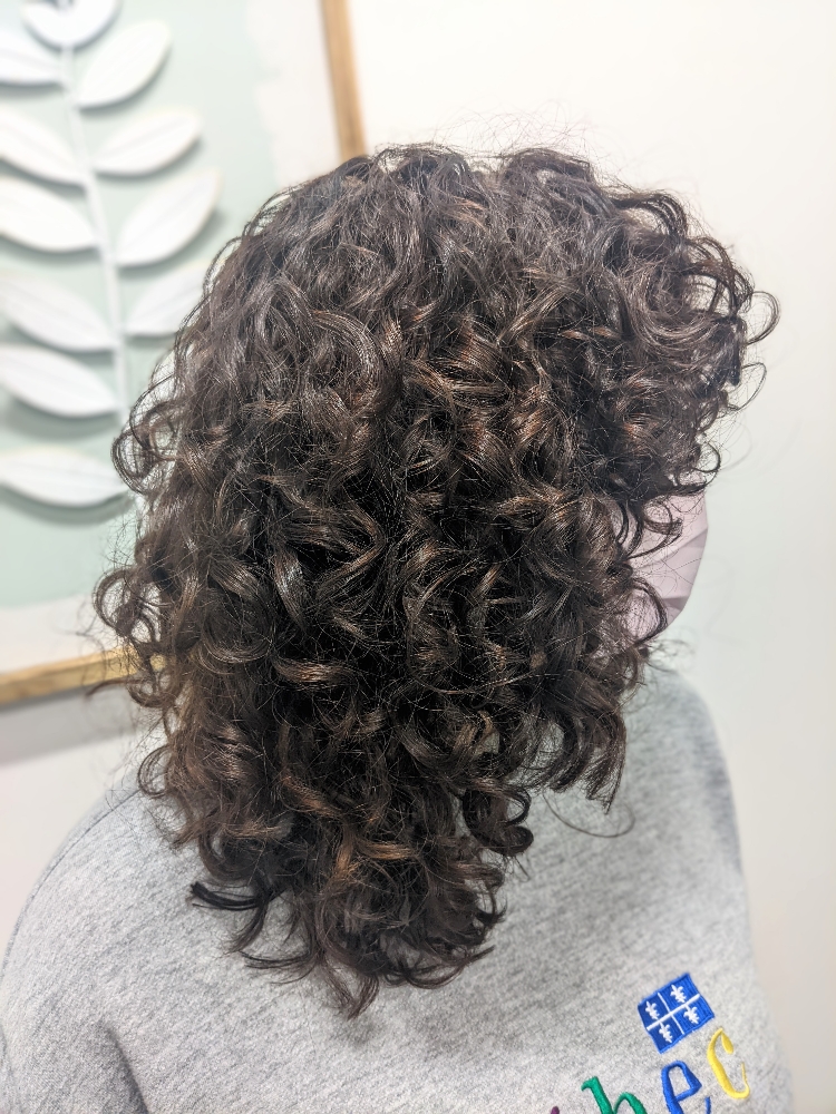 Curly HD Cut