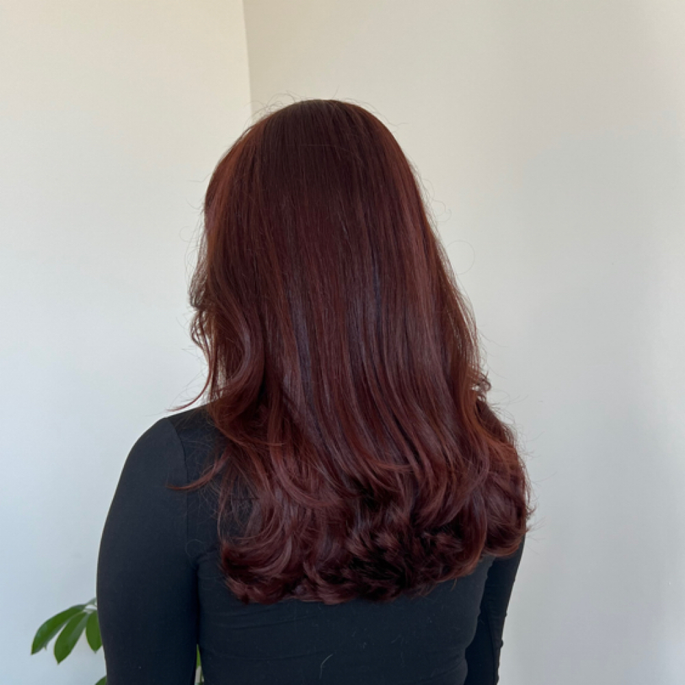 Single Color Application + Haircut at Venomous Hair in Colorado Springs, CO