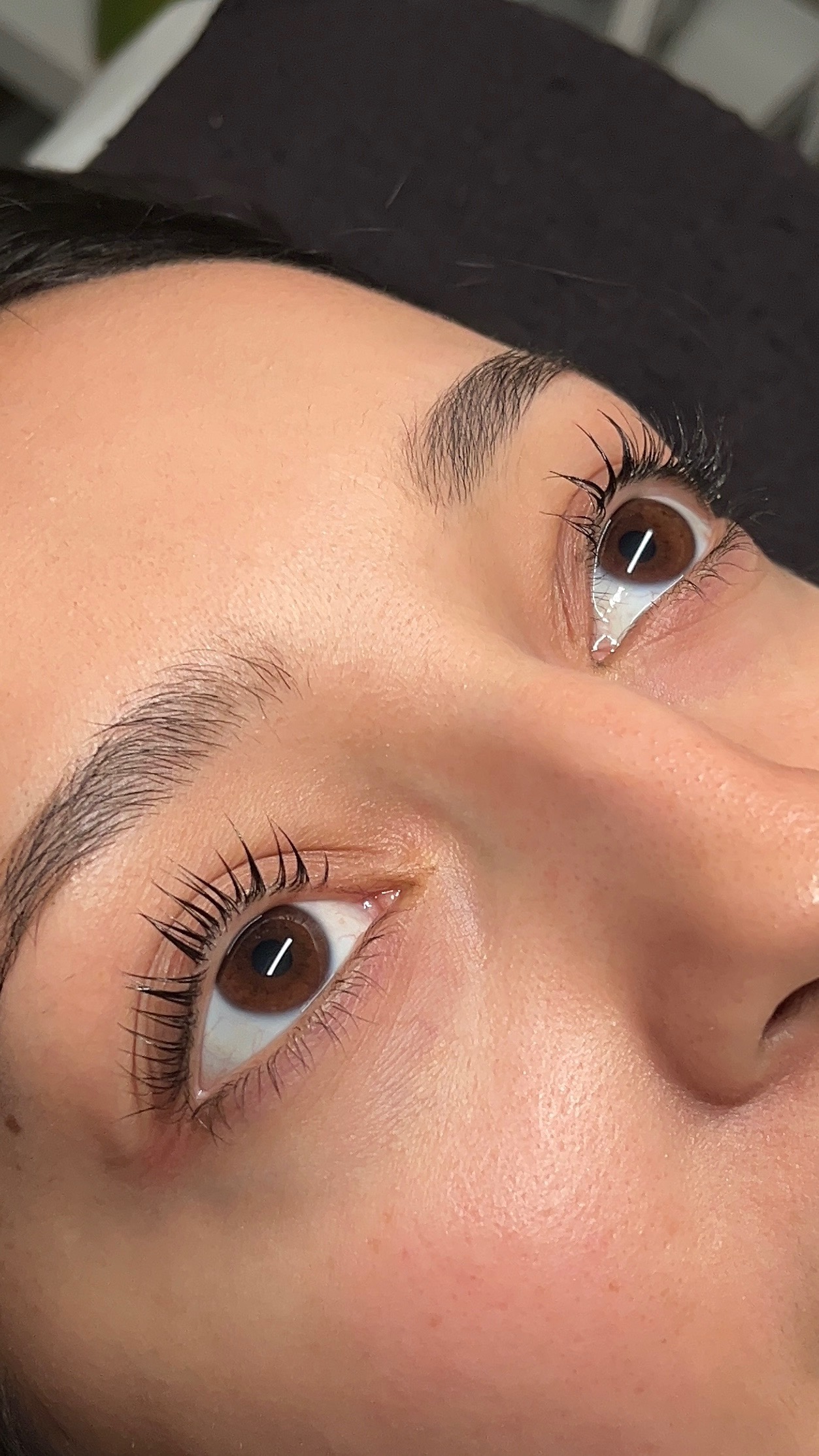 Lash Lift and Tint