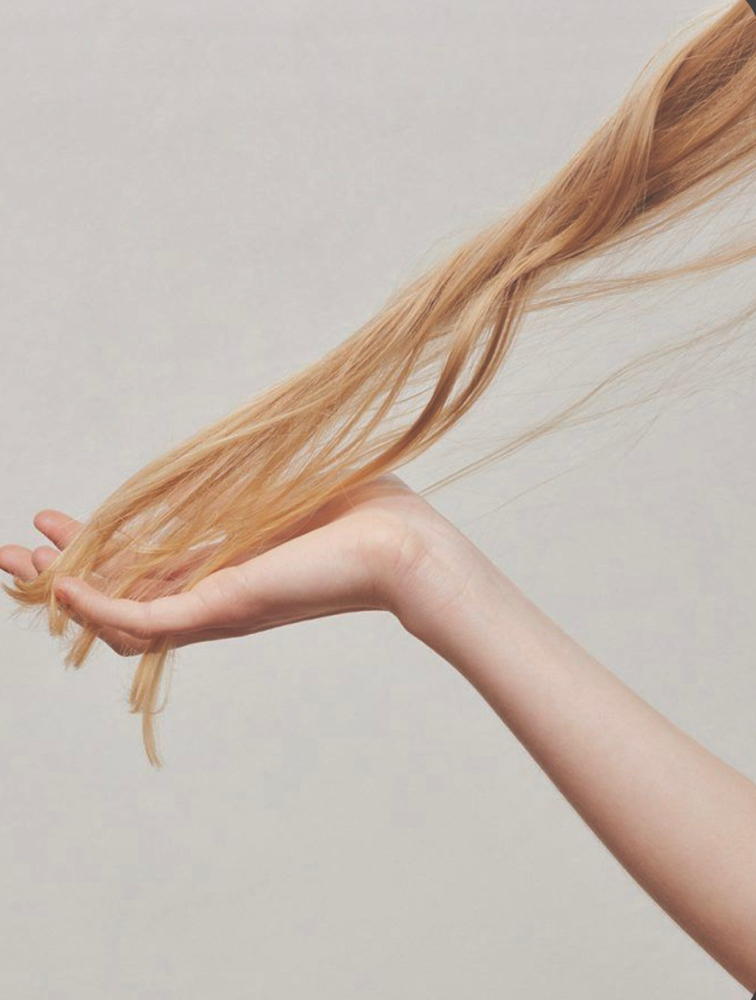 Color/ Extension Consulation