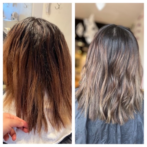 Root Melt & Toner