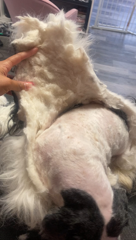 Full Body Matted