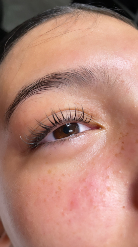 Lash Lift W/tint