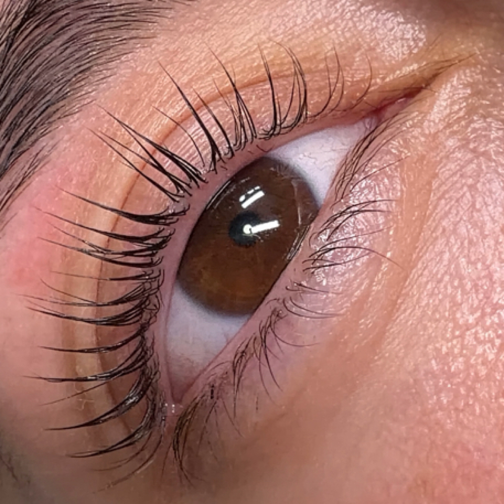 Korean Lash Lift at Silklashnbrow in Garden Grove, CA