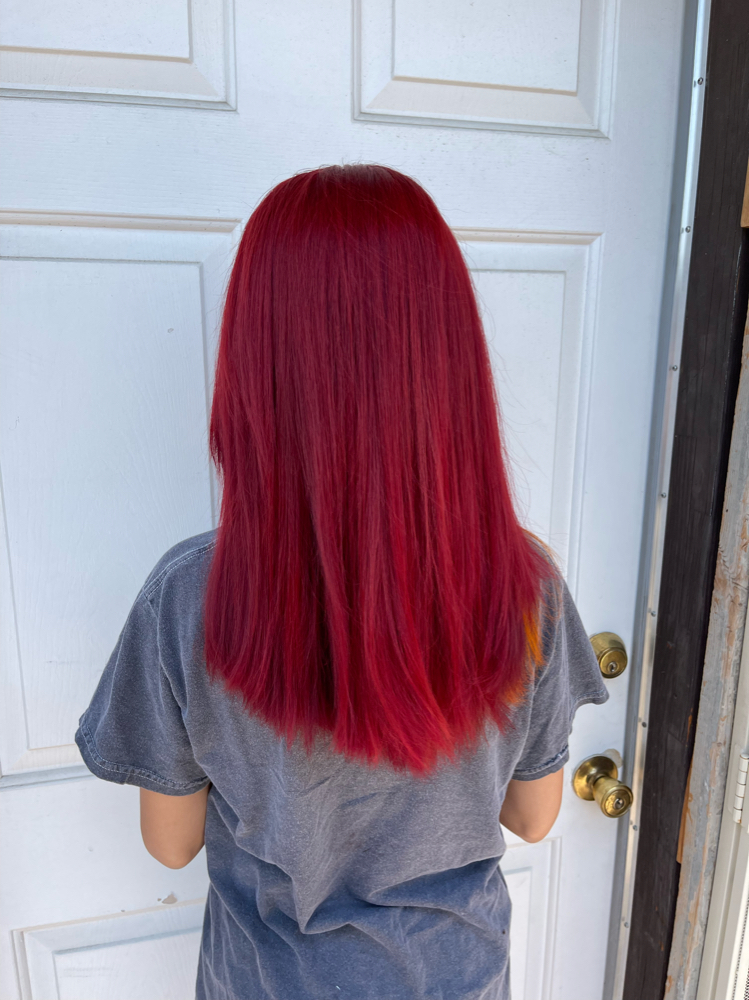 Bleach Roots & All Over Color