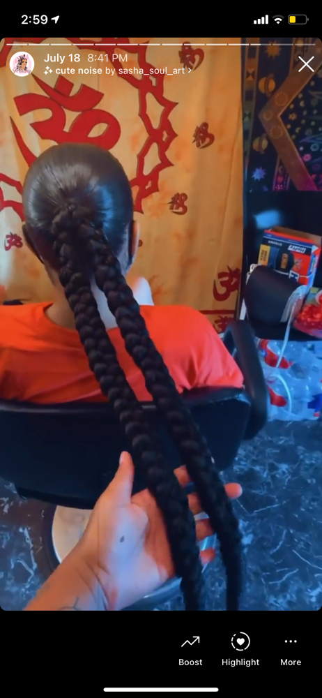 Braided Pony (2 Braids)