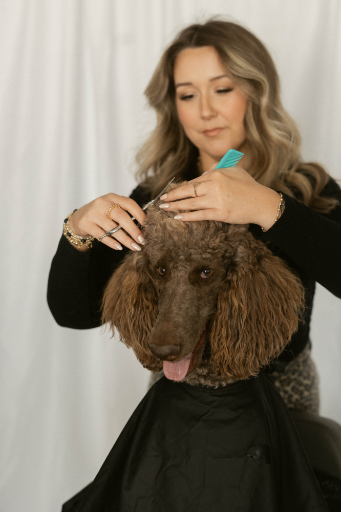 Women’s Cut + Blowout