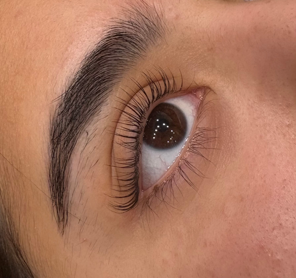 Korean Lash Lift