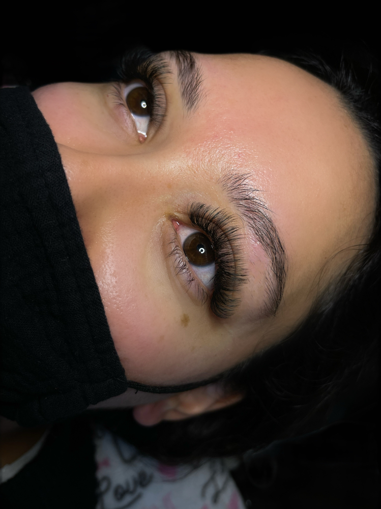 Volume Lashes