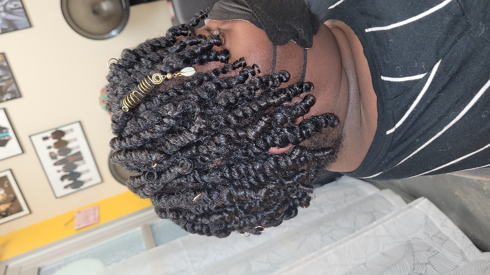 Double Strand Twist or Comb Twist