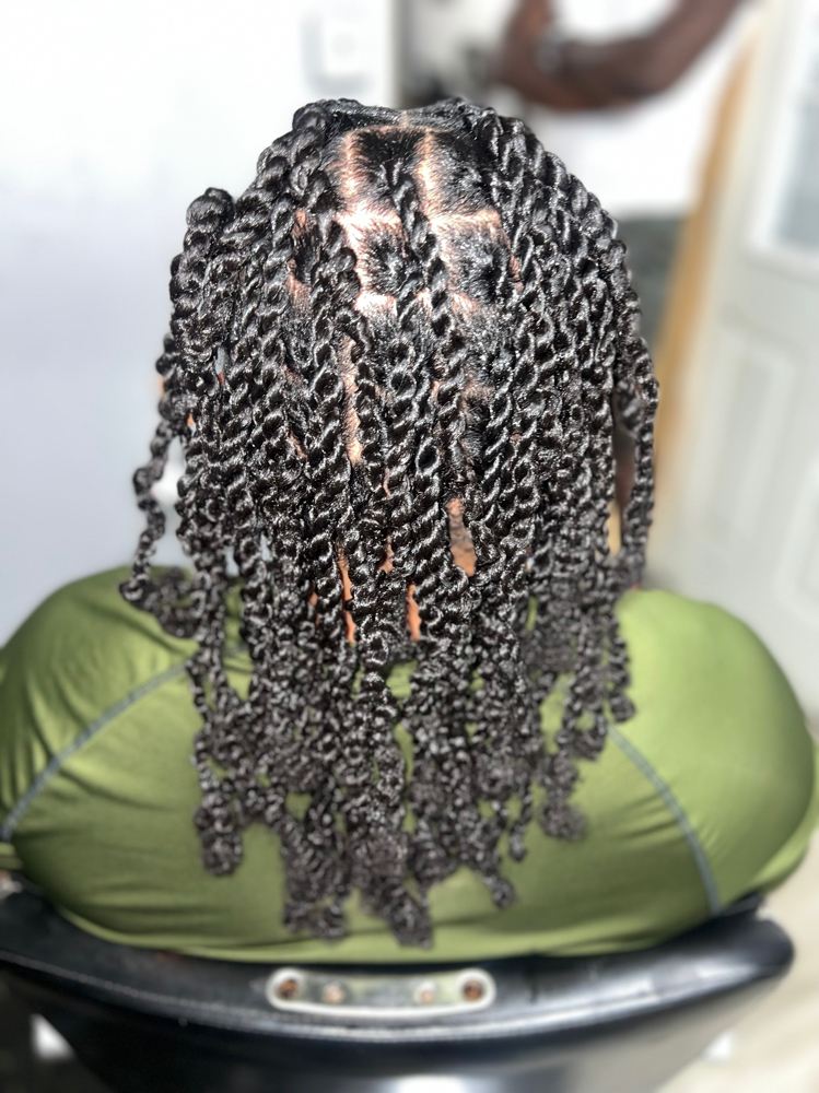 Two Strand Twist With Weave