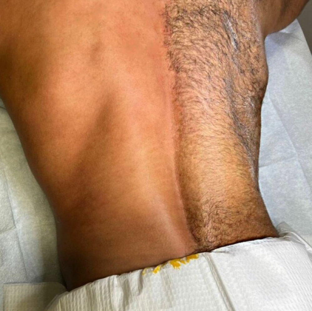 Full Back at Prestigious Butterflies in Rocky Mount, NC